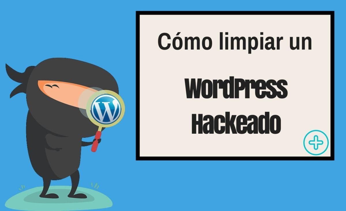Software a medida para automatizar tu empresa